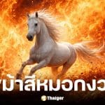 เลขเด็ด ม้าสีหมอก งวด 16 ก.พ. 69