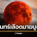 พระจันทร์สีเลือด วันมาฆบูชา 2569 ตื่นตาตื่นใจ 5 จุดทั่วประเทศ