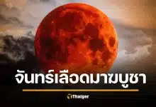พระจันทร์สีเลือด วันมาฆบูชา 2569 ตื่นตาตื่นใจ 5 จุดทั่วประเทศ