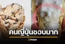 คนญี่ปุ่นตะลึง ขนมไทย "ไอติมกะทิใส่ข้าวเหนียว" อร่อยแสงออกปาก แถมราคาแค่ 10 บาท