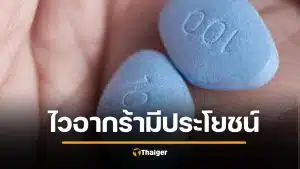 วิจัยเผย ยาไวอากร้า ลดเสี่ยงโรคหัวใจ เบาหวาน สมองเสื่อม ไม่ใช่แค่เรื่องบนเตียง