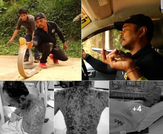 นิค อสรพิษวิทยา โพสต์ขอระดมทุนช่วย จิตอาสาจับงู จ.สุราษฎร์ธานี ป่วยหนัก-ค่ารักษาพุ่งสูง-2