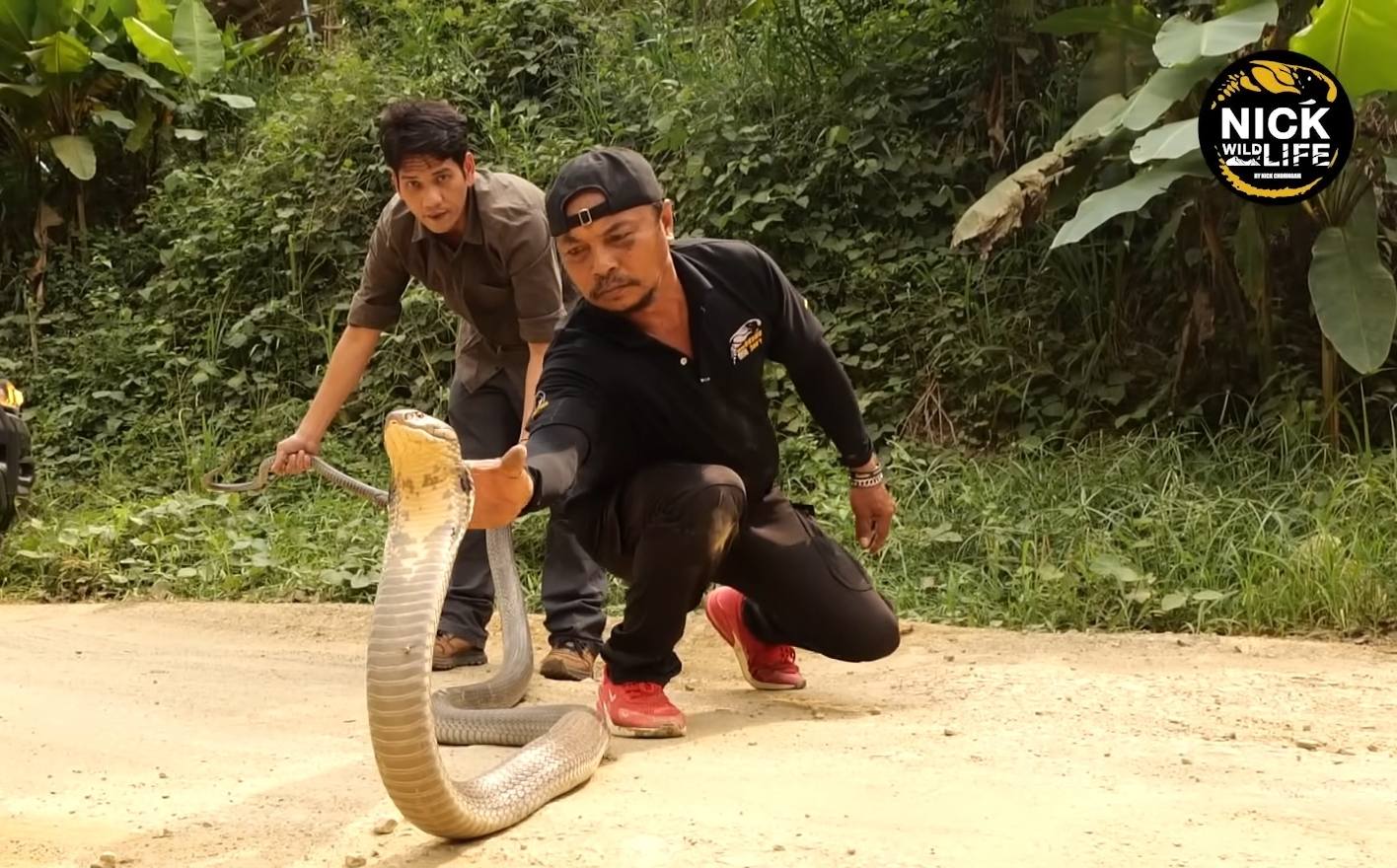 นิค อสรพิษวิทยา โพสต์ขอระดมทุนช่วย จิตอาสาจับงู จ.สุราษฎร์ธานี ป่วยหนัก-ค่ารักษาพุ่งสูง-3