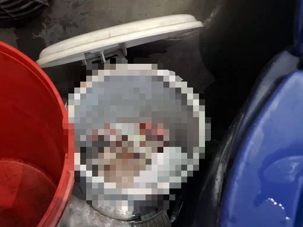 ศพเด็กทารกที่ถูกทิ้งในห้องน้ำรถทัวร์