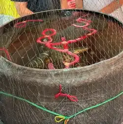 เลขเด็ด อ่างน้ำมนต์อาศรมฤาษีเณร งวด 1 มี.ค. 69