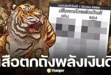 เลขเด็ด เสือตกถังพลังเงินดี งวด 1 มีนาคม 2569