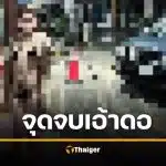 ดาวทวิตใจกล้า แก้ผ้าโชว์ปิ๊หน้าสถานีตำรวจ โพสต์ว่อนเน็ต รู้ตัวจริงแล้ว