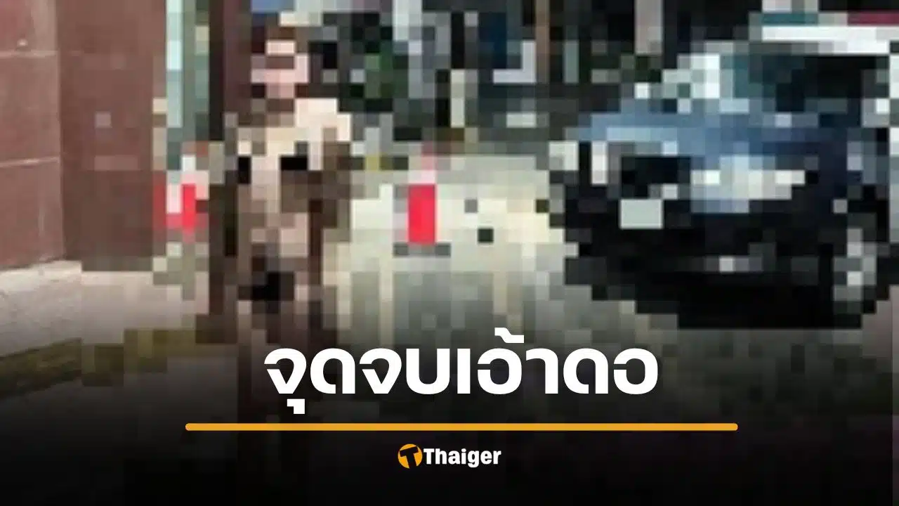 ดาวทวิตใจกล้า แก้ผ้าโชว์ปิ๊หน้าสถานีตำรวจ โพสต์ว่อนเน็ต รู้ตัวจริงแล้ว