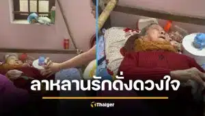 คลิปสะอื้น ยาย 90 ติดเตียง ร่ำไห้ลาหลานสาว แต่งงานออกเรือน