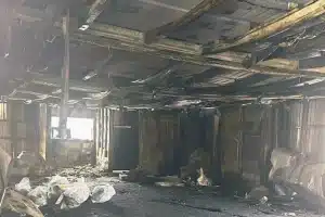 ชาวปากีในญี่ปุ่นผวา มือมืดเผามัสยิด จุดกระแสเกลียดคนมุสลิม