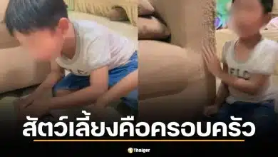 เพจดังแชร์คลิปบีบหัวใจ ลูกร้องไห้สูญเสียแมว
