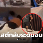 งูเห่าโรงแรมกระบี่