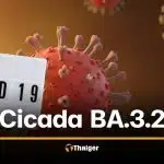 ทั่วโลกจับตา โควิดกลายพันธุ์ Cicada BA.3.2 แพร่แล้ว 23 ประเทศ หลบวัคซีนได้ดีกว่าเดิม