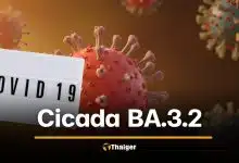 ทั่วโลกจับตา โควิดกลายพันธุ์ Cicada BA.3.2 แพร่แล้ว 23 ประเทศ หลบวัคซีนได้ดีกว่าเดิม
