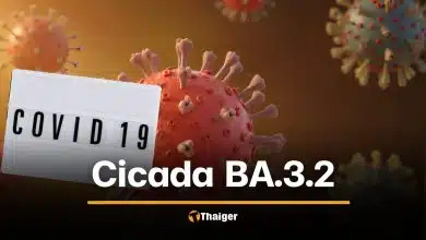 ทั่วโลกจับตา โควิดกลายพันธุ์ Cicada BA.3.2 แพร่แล้ว 23 ประเทศ หลบวัคซีนได้ดีกว่าเดิม