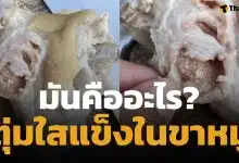อวสานมื้ออร่อย สาวเจอตุ่มใส ๆ ในขาหมู โพสต์ถามชาวเน็ตแห่เตือนอันตราย