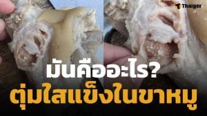 อวสานมื้ออร่อย สาวเจอตุ่มใส ๆ ในขาหมู โพสต์ถามชาวเน็ตแห่เตือนอันตราย