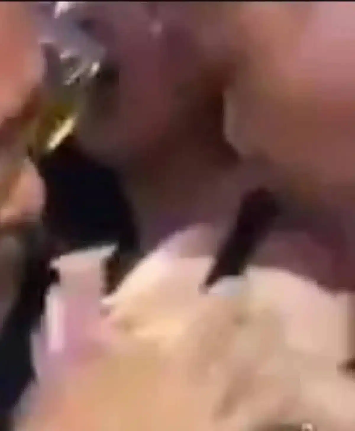 หลักฐานแก๊งฮาร์เลย์อนาจาร