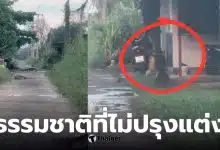 จูราสสิคปาร์คปทุมธานี ตัวเงินตัวทองคลองหนึ่ง