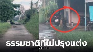 จูราสสิคปาร์คปทุมธานี ตัวเงินตัวทองคลองหนึ่ง