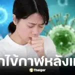 โรคไข้กาฬหลังแอ่นในไทย ปี 2569