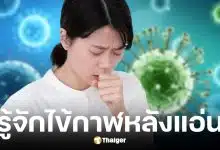 โรคไข้กาฬหลังแอ่นในไทย ปี 2569