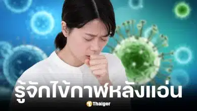 โรคไข้กาฬหลังแอ่นในไทย ปี 2569