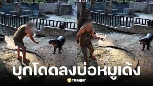 สวนสัตว์เขาเขียวแจงกรณีคนโดดกรงหมูเด้ง