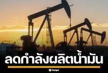 คูเวต ประกาศลดผลิตน้ำมัน ชี้อิหร่านปิด ช่องแคบฮอร์มุซ ทำต้นทุนปุ๋ย-อาหารพุ่ง