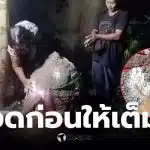 เลขเด็ดงวดนี้ เจ้าพอจอมปลวก 16 03 69