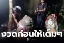 เลขเด็ดงวดนี้ เจ้าพอจอมปลวก 16 03 69