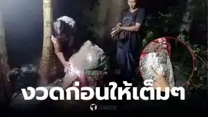 เลขเด็ดงวดนี้ เจ้าพอจอมปลวก 16 03 69