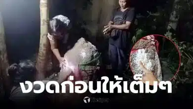 เลขเด็ดงวดนี้ เจ้าพอจอมปลวก 16 03 69