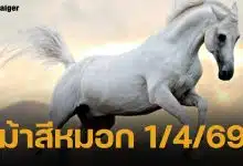 เลขเด็ด ม้าสีหมอก งวด 1 เมษายน 2569 หวยออกตรงวันพุธ