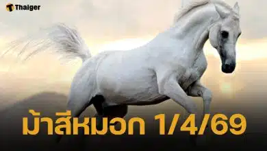 เลขเด็ด ม้าสีหมอก งวด 1 เมษายน 2569 หวยออกตรงวันพุธ