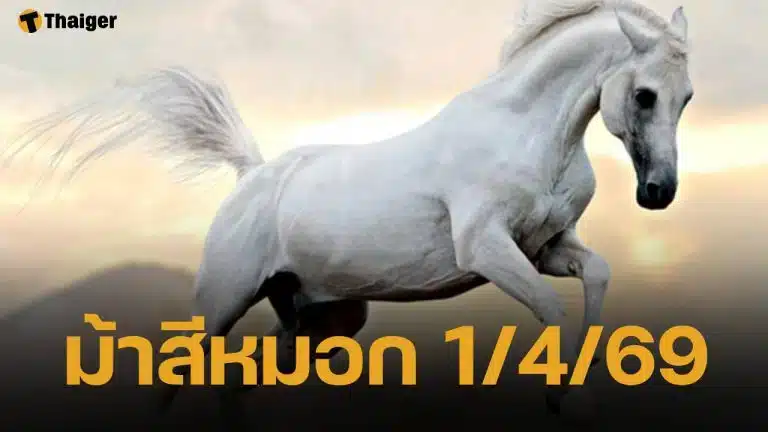 ราศีธาตุน้ำ (กรกฎ – พิจิก – มีน) เซนส์แม่น ตามเลขธูปและม้าสีหมอก