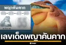 เลขเด็ด พญาคันคาก งวด 16/3/69 คัดเน้นๆ ปล่อยเลขท้าย 4 คู่ เลขเบิ้ลน่าลุ้น เซฟไว้เลย