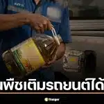 สรุปให้ชัด น้ำมันพืชเติมรถยนต์ได้ไหม เสี่ยงเครื่องพังหรือเปล่า