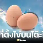 20 มี.ค. 69 วันวสันตวิษุวัต ตั้งไข่บนโต๊ะได้จริงไหม