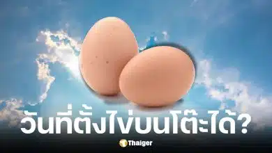 20 มี.ค. 69 วันวสันตวิษุวัต ตั้งไข่บนโต๊ะได้จริงไหม