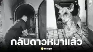 ช่างท๊อป ด็อกอาร์ท แจ้งข่าวสุนัขเสียชีวิตแล้ว