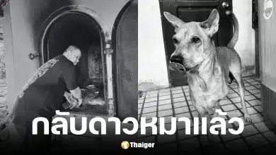 ช่างท๊อป ด็อกอาร์ท แจ้งข่าวสุนัขเสียชีวิตแล้ว