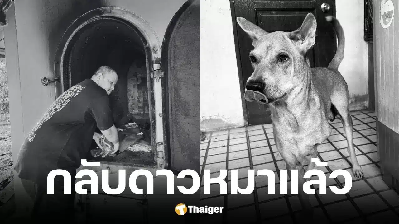 ช่างท๊อป ด็อกอาร์ท แจ้งข่าวสุนัขเสียชีวิตแล้ว