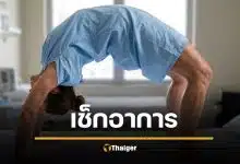 เช็กอาการ ไข้กาฬหลังแอ่นระบาด คนไทยตายแล้ว 3 ติดต่อทางไหน