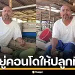 หมอปลาขึ้น! ฟาด สว.แนะประชาชน เลี้ยงไก่-ปลูกผัก ถามลั่นคนอยู่คอนโดทำยังไง