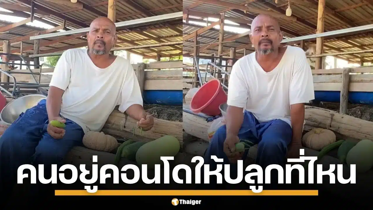 หมอปลาขึ้น! ฟาด สว.แนะประชาชน เลี้ยงไก่-ปลูกผัก ถามลั่นคนอยู่คอนโดทำยังไง