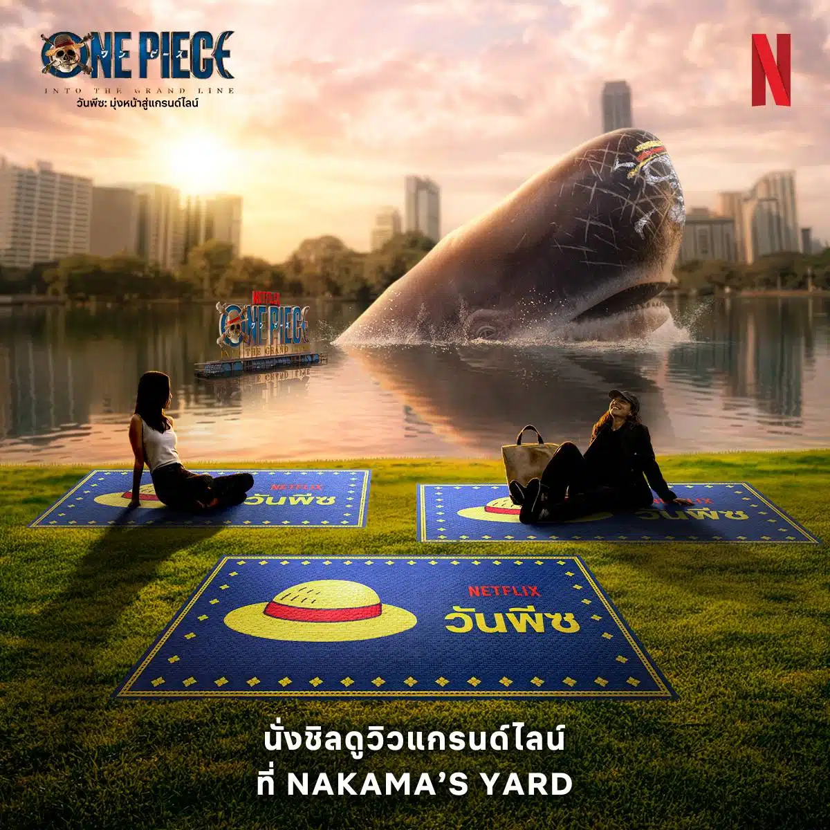 จากหน้าจอสู่ทิวทัศน์