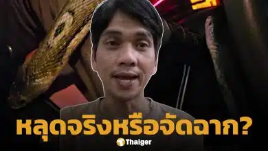 นิค อสรพิษวิทยา แจงดราม่าคลิป "งูเห่าหลุดในรถ" ตอบแล้วเรื่องจริงหรือคอนเทนต์