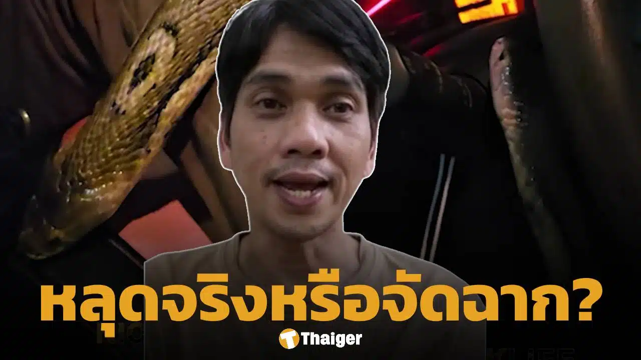 นิค อสรพิษวิทยา แจงดราม่าคลิป "งูเห่าหลุดในรถ" ตอบแล้วเรื่องจริงหรือคอนเทนต์