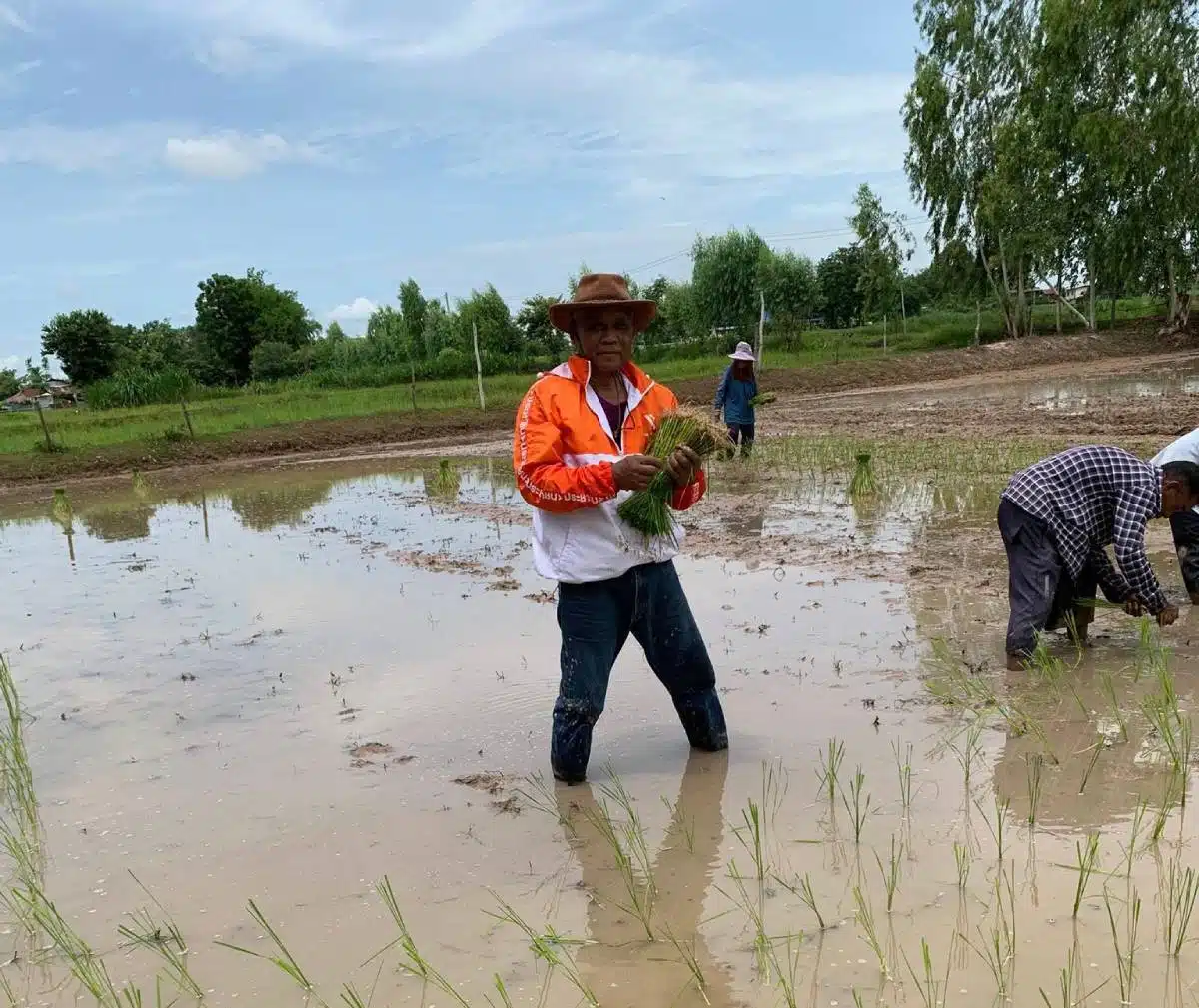 คำพอง เทพาคำ อดีต สส.บัญชีรายชื่อ พรรคประชาชน ออกมาเปิดโปงเบื้องหลังการเมืองไทย